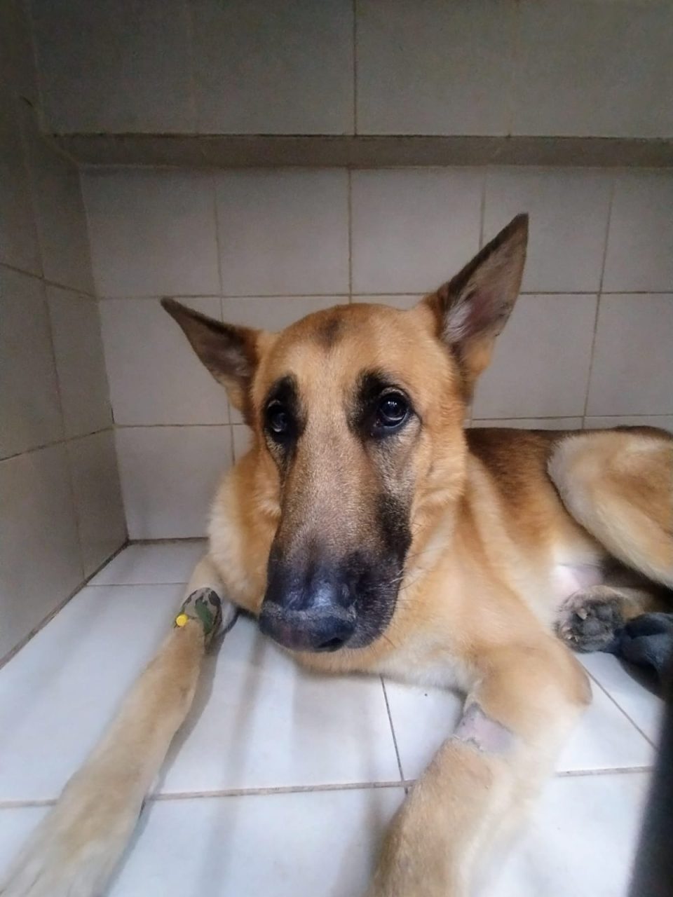 Foto